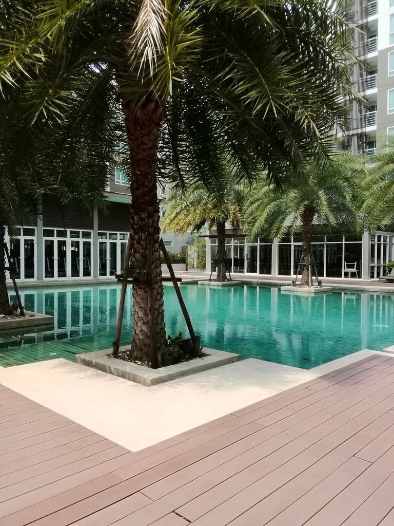 A villa with its own pool and terrace